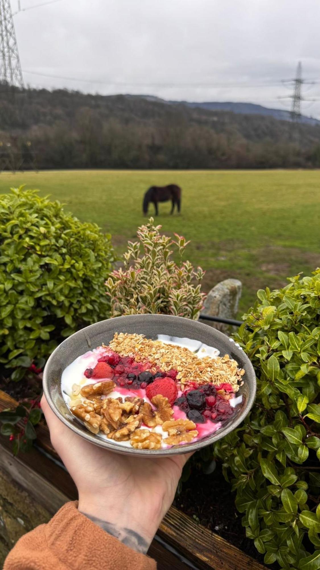 Sgwd Gwladys Lodge Pontneddfechan Zewnętrze zdjęcie